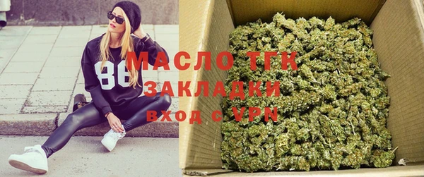 молекула духа Богородицк