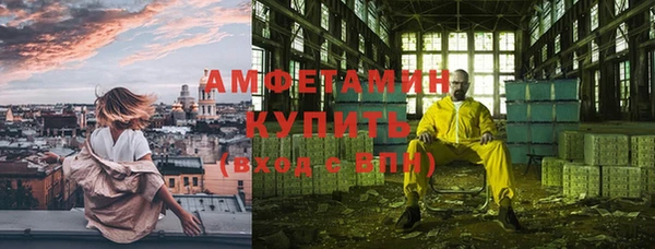 молекула духа Богородицк