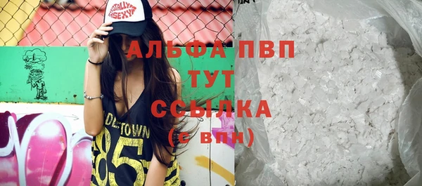 молекула духа Богородицк