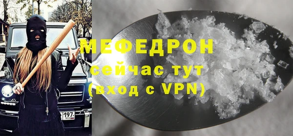 молекула духа Богородицк
