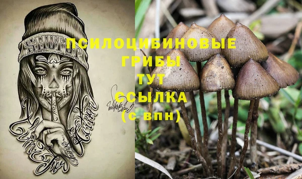 молекула духа Богородицк