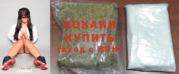 мяу мяу мука Богданович