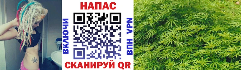 Каннабис сатива  blacksprut tor  Фурманов 